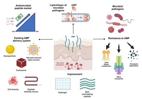 peptide tb500 reddit