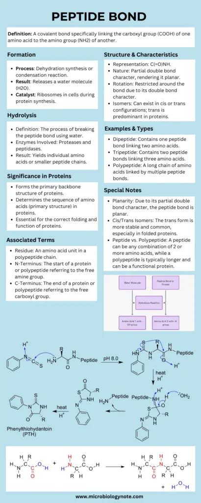 tb500 peptide wiki