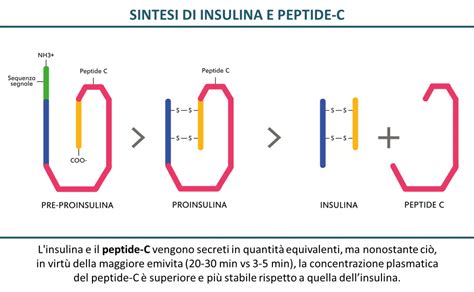 tb500 peptide to buy