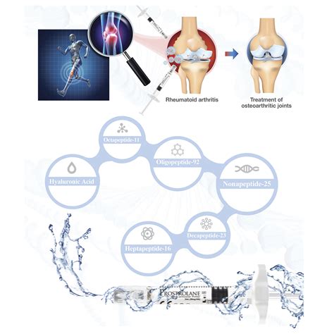 tb500 peptide explained