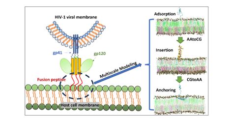 tb500-peptide-how-often-to-take