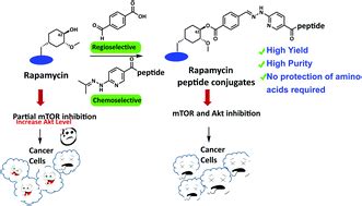 what-does-peptide-tb500