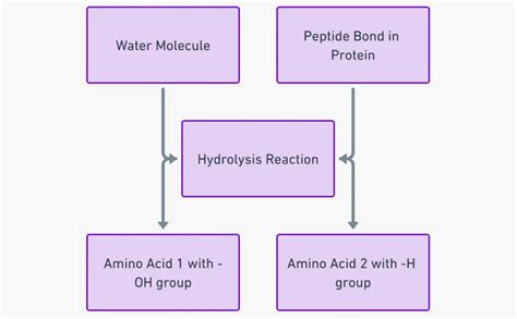 xps-peptide-tb500