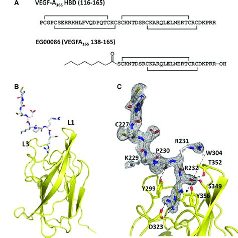peptide-tb500