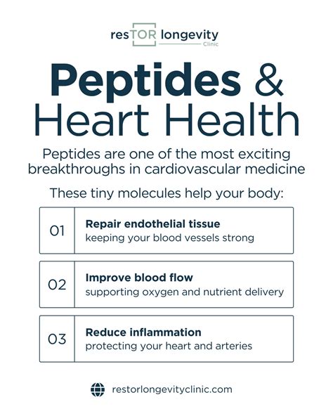 peptide tb500 buy