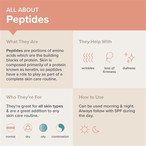 peptide tb500 wirkung