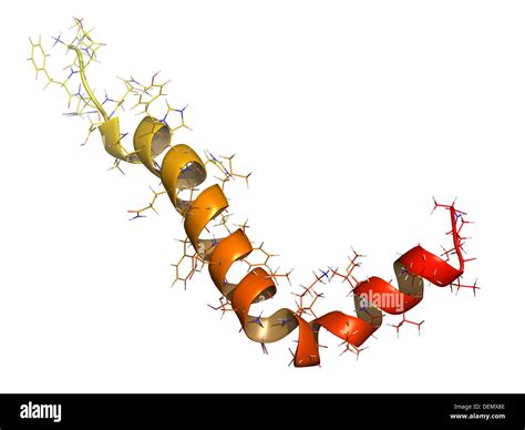 tb500-peptide-information